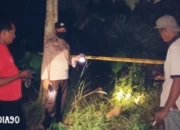 Kehebohan! Kerangka Manusia Ditemukan di Labuhan Ratu, Lampung Timur