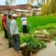 Hanyut dari Wonodadi, Bocah 3,5 Tahun Ditemukan Tewas di Sungai Way Nenep Gadingrejo Pringsewu