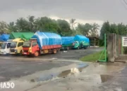 Anjloknya Harga Jagung di Lampung Timur saat Masuki Panen Raya