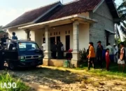 Gajah Tunggangannya Sendiri, Pawang Gajah TNWK Lampung Timur Tewas Terinjak
