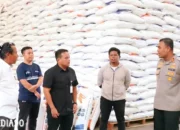 Kenaikan Harga Beras Premium oleh Pemerintah untuk Kelancaran Pasokan: Lihat Daftar Harganya di Lampung