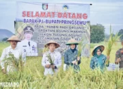 Budidaya Berbasis Mikroba: Inovasi Pengganti Pupuk Kimia dari Pringsewu