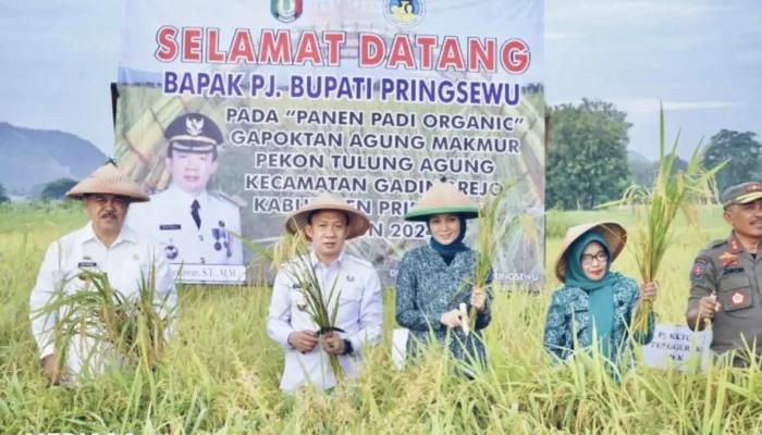 Budidaya Berbasis Mikroba: Inovasi Pengganti Pupuk Kimia dari Pringsewu