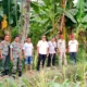 Petani Lihat Harimau Saat Panen Jagung di Gunung Doh BNS Tanggamus, Warga Diminta Waspada