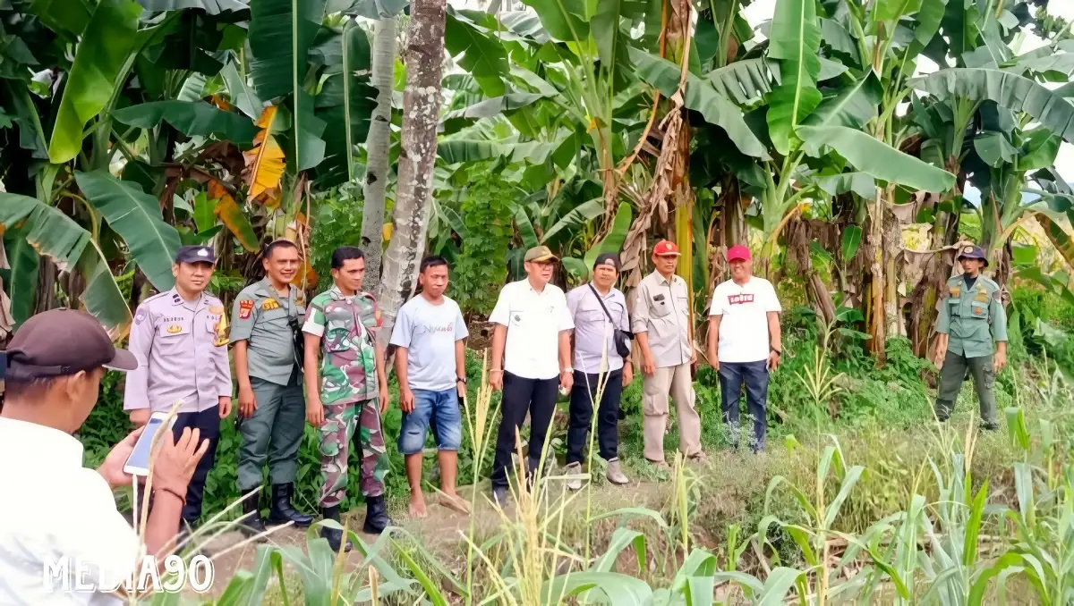 Petani Lihat Harimau Saat Panen Jagung di Gunung Doh BNS Tanggamus, Warga Diminta Waspada