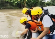 Upaya Pencarian Remaja Asal Candipuro yang Hanyut di Sungai Way Galih Lampung Selatan Terus Dilakukan oleh Tim SAR: Berikut Rinciannya