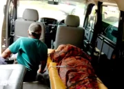 Tragedi di Pasar Alang-Alang: Pedagang Ikan Sekampung Meninggal Saat Berbelanja