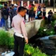 Sopir Ngantuk, Mitsubishi Xpander Hantam Suzuki Karimun hingga Masuk Parit di Fajaresuk Pringsewu