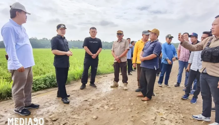 Solusi Inovatif Pj Bupati Pringsewu untuk Memperbaiki Jalan Rusak di Ambarawa dan Banyumas