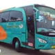 Travel Jakarta Ciamis PP (Jadwal, Harga, Fasilitas)