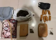Kisah Kontroversial: Langkah Nekat Remaja Bandar Lampung Mulai Bisnis Jualan 3 Kg Ganja Setelah Lulus SMA