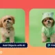 Cara menambah atau mengganti objek foto menggunakan Pincel AI Photo Editor