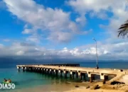 Jualan Politik di Pilkada: Warga Pulau Tabuan Tanggamus Masih Terputus dari Jaringan Seluler
