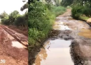 Misteri Jalan 12 di Mulang Maya: 10 Tahun Terabaikan, Ancaman Begal dan Kecelakaan Mengintai