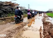 Perjalanan Panjang: 15 Tahun Kerusakan Jalan Provinsi di Muara Gadingmas Lampung Timur Hanya Dijadikan Alat Politik oleh Calon Gubernur