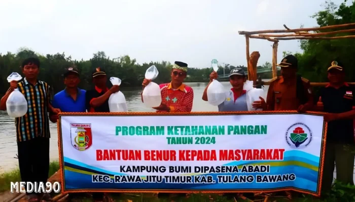 Ratusan Ribu Benur Udang Vanamei Diluncurkan ke Petambak oleh Kampung Bumi Dipasena Abadi