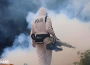Lonjakan Kasus DBD: Kemenkes Catat 76 Ribu Kasus Sepanjang 2024, Polda Lampung Intensifkan Fogging