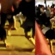 Malam Takbiran Geber Motor Knalpot Bronk, Pemuda di Pulung Kencana Tulang Bawang Barat ini Babak Belur Dikeroyok Warga