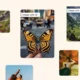 Meta akan memberi label konten media sosial yang dibuat dengan AI di Instagram, Facebook, dan Threads