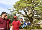 Tulang Bawang Barat Bergelora dengan Pameran dan Kontes Bonsai Nasional: Mendorong Pertumbuhan Ekonomi dan Memperkenalkan Kecantikan Alam
