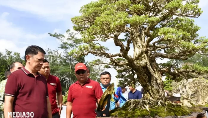 Tulang Bawang Barat Bergelora dengan Pameran dan Kontes Bonsai Nasional: Mendorong Pertumbuhan Ekonomi dan Memperkenalkan Kecantikan Alam