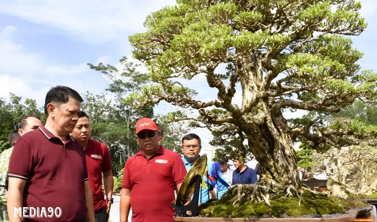 Pameran dan Kontes Bonsai Nasional, Tingkatkan Perekonomian dan Promosikan Tulang Bawang Barat