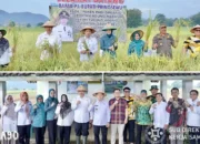 Perwakilan Polinela Bergabung dalam Panen Raya Perdana Padi Organik di Pringsewu