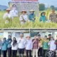 Perwakilan Polinela Hadiri Panen Raya Perdana Padi Organik di Pringsewu