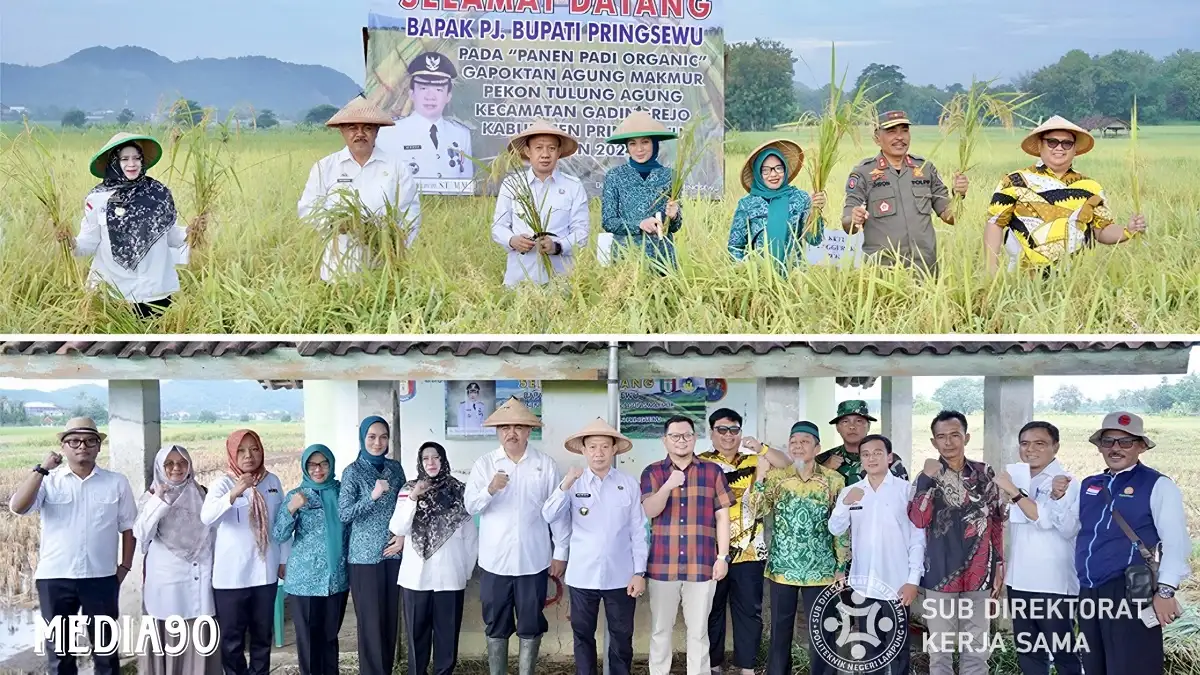 Perwakilan Polinela Hadiri Panen Raya Perdana Padi Organik di Pringsewu