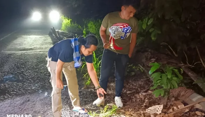 Klarifikasi Polda Lampung: Insiden Pemotor di TNBBS Lemong Pesisir Barat Adalah Kecelakaan, Bukan Kasus Begal