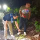 Polda Lampung Pastikan Pemotor Terkapar di TNBBS Lemong Pesisir Barat Bukan Korban Begal Tapi Kecelakaan