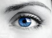 VerifEye: Antara Harapan dan Keraguan dalam Penggunaan Aplikasi Deteksi Kebohongan Berbasis AI