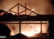 Bencana Melanda: Rumah Pengusaha Ayam Potong di Panaragan Jaya Utama Tulang Bawang Barat Hangus, Tinggal Hanya Kenangan Terpatri dalam Serpihan