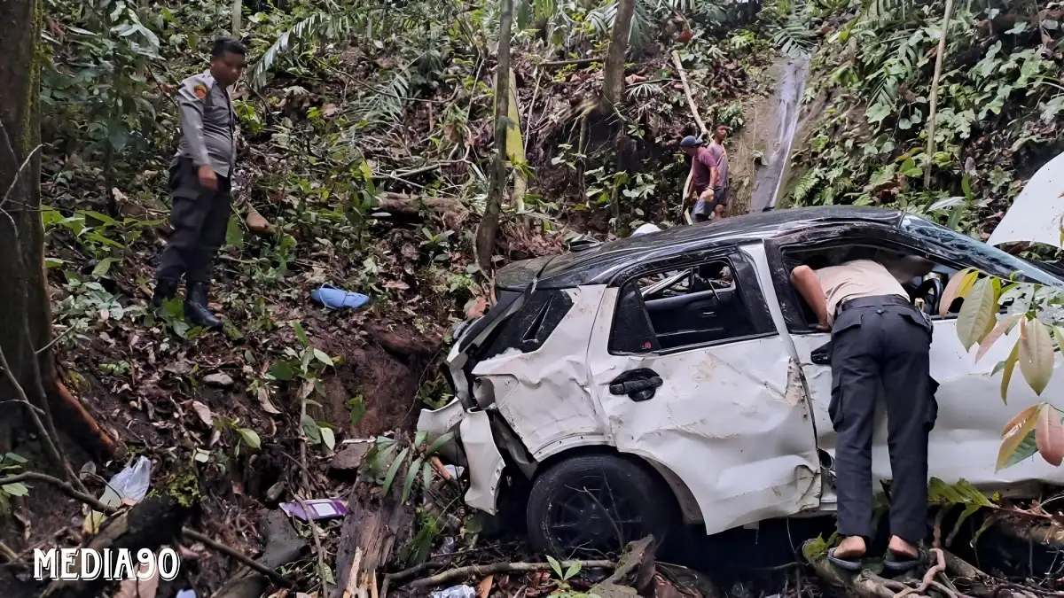 Sopir Ngantuk, Minibus Terjun ke Jurang Tebing Batu Manula Pesisir Barat, Satu Balita Tewas