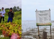 Yagasu Dapat Penghargaan dari Kampung Bumi Dipasana Agung karena Tanam 500 Ribu Bibit Mangrove di Seluruh Areal Tambak
