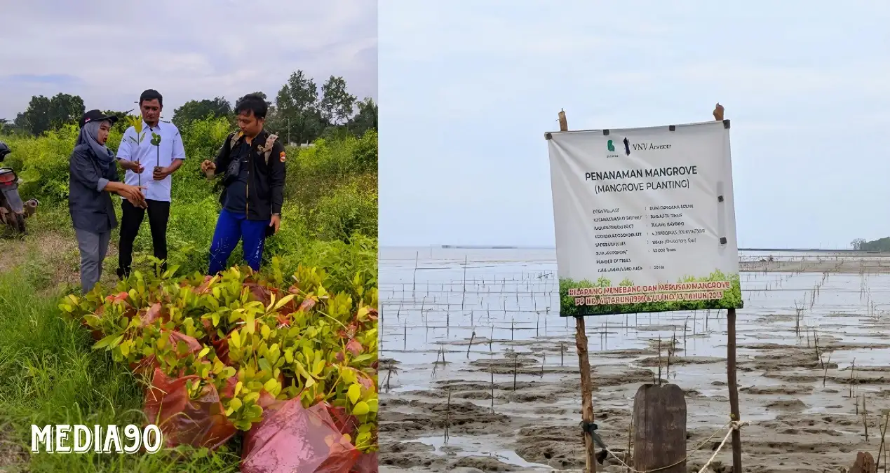 Tanam 500 Ribu Bibit Mangrove di Seluruh Areal Tambak, Kampung Bumi Dipasana Agung Apresiasi Yagasu