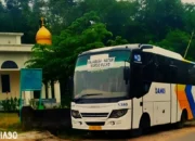 Damri Meluncurkan Trayek Baru di 2025: Pringsewu Dapat Tiga, Metro Dua, Liwa dan Pesawaran Satu – Rute yang Dijelaskan!