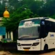 Trayek Baru Damri Beroperasi 2025, Tiga di Pringsewu, Dua Metro, Satu Liwa dan Pesawaran, ini Rutenya