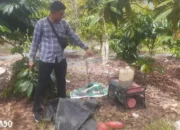 Tewas Terkena Listrik Perangkap Babi: Tragedi Seorang Wanita dari Tulangbawang Barat di Lampung Barat