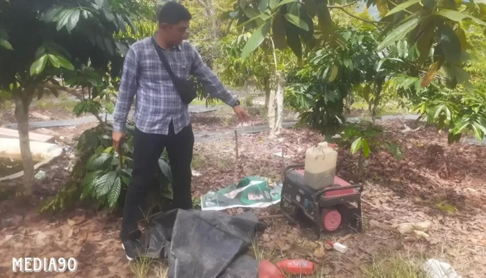 Tewas Terkena Listrik Perangkap Babi: Tragedi Seorang Wanita dari Tulangbawang Barat di Lampung Barat