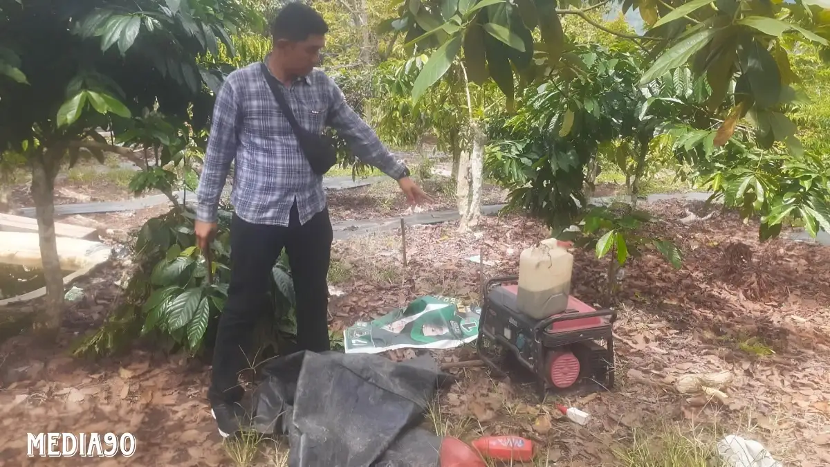 Wanita Asal Tulangbawang Barat Tewas Tersengat Listrik Perangkap Babi di Lampung Barat