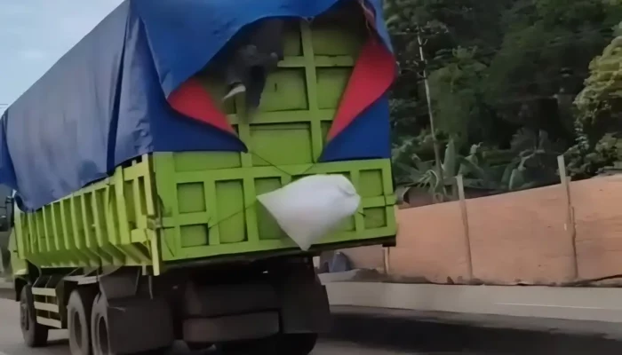 Tragis, Demi Nafkahi Orang Tua: Kisah Bajing Loncat Mencuri Gula dari Truk di Bypass Panjang Bandar Lampung