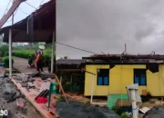 Angin Puting Beliung Hantam Dipasena, Puluhan Rumah di Bumi Sentosa Rusak Parah