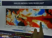 BMKG Ungkap: Suhu Panas di Indonesia Bukan Akibat Gelombang Panas, Melainkan Transisi Musim