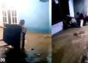 Banjir Bandang Hantam Talang Padang Tanggamus, Tim SAR Evakuasi Tujuh Warga yang Terjebak di Atap Rumah