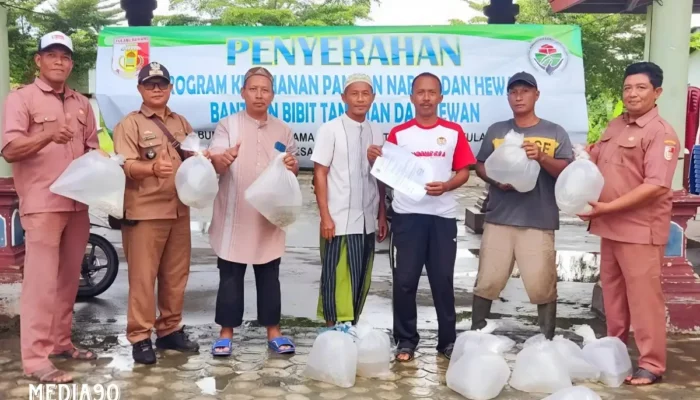 Petambak Bumi Dipasena Utama Mendapat Bantuan Bibit Ikan Nila Menyelamatkan Usaha dari Gagalnya Budidaya Udang