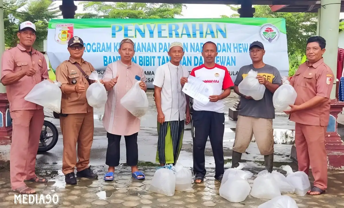 Budidaya Udang Sering Gagal, Petambak Bumi Dipasena Utama Dapat Bantuan Bibit Ikan Nila