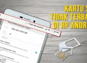 Solusi Ampuh: Mengatasi Kartu SIM Smartphone yang Tak Terbaca dengan Mudah!