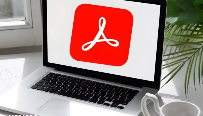PDF Paling Praktis: Gabung File dalam Sekejap, Tanpa Kepala Pusing!
