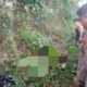 Diduga Dibunuh, Polisi Selidiki Tewasnya Siswi SMA Mesuji Penuh Luka Tusuk di Parit